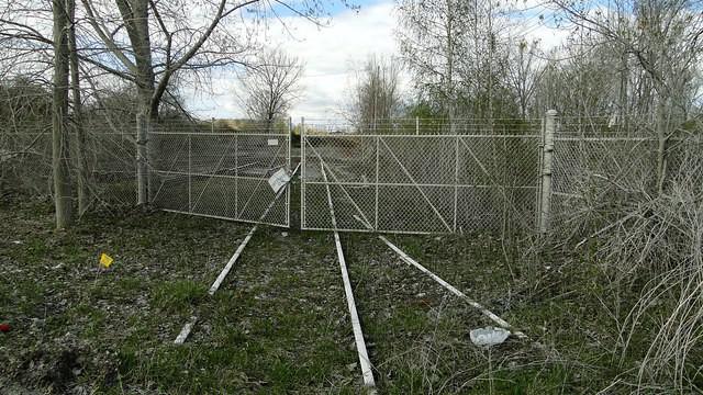 Fence Line 5-7-2011