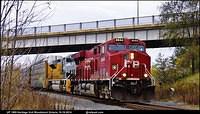 CP 641 CP 8944 UP 1989 Woodstock Ontario 10-16-2014