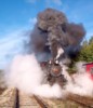 IM002601.JPG
173.15 KB 
